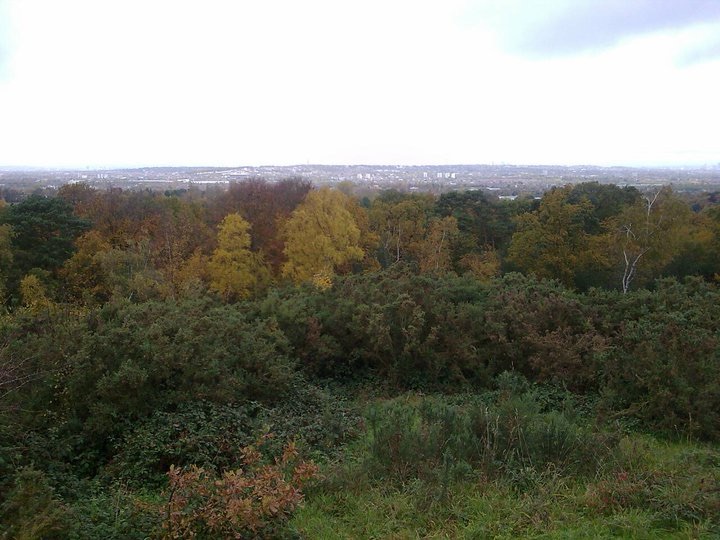 A Bookworms Guide to Rewilding